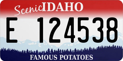 ID license plate E124538
