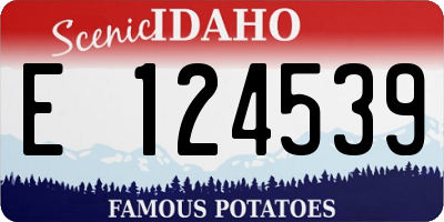 ID license plate E124539