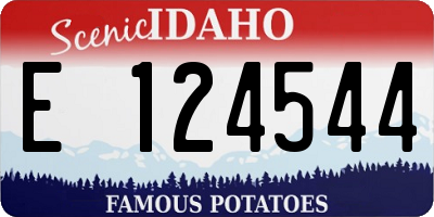 ID license plate E124544