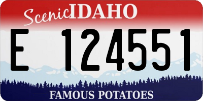 ID license plate E124551