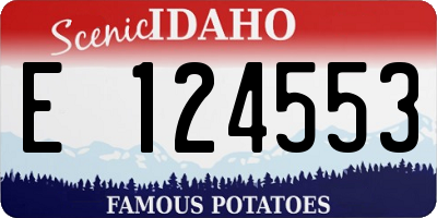 ID license plate E124553