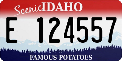 ID license plate E124557