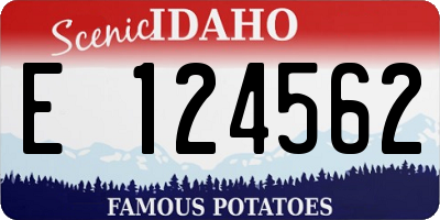 ID license plate E124562