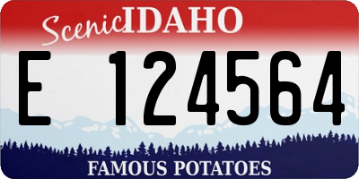 ID license plate E124564