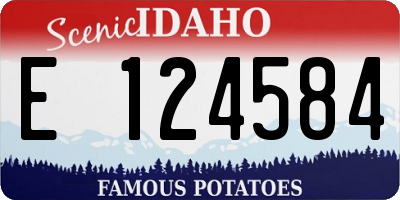 ID license plate E124584