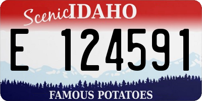 ID license plate E124591