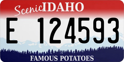 ID license plate E124593