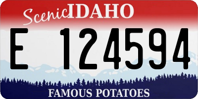 ID license plate E124594