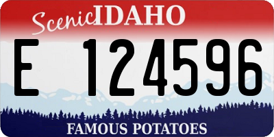 ID license plate E124596