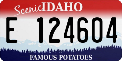 ID license plate E124604