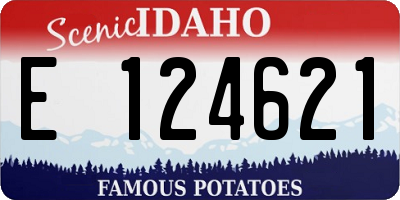ID license plate E124621
