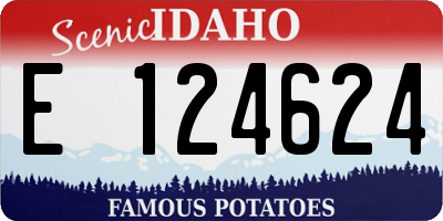 ID license plate E124624