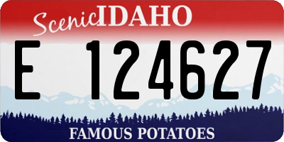 ID license plate E124627