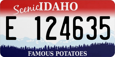 ID license plate E124635