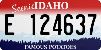 ID license plate E124637