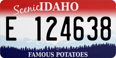 ID license plate E124638