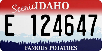 ID license plate E124647