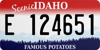 ID license plate E124651