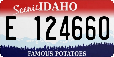 ID license plate E124660