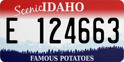 ID license plate E124663