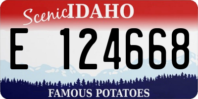 ID license plate E124668