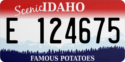 ID license plate E124675