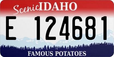 ID license plate E124681
