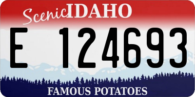 ID license plate E124693