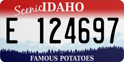 ID license plate E124697