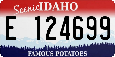 ID license plate E124699