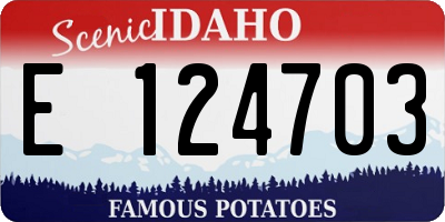 ID license plate E124703