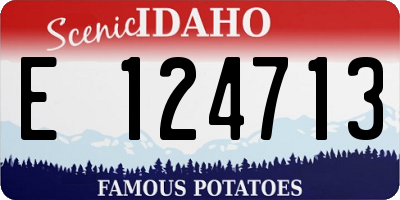 ID license plate E124713