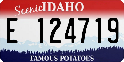 ID license plate E124719