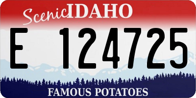 ID license plate E124725