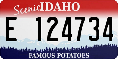 ID license plate E124734