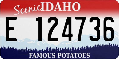 ID license plate E124736