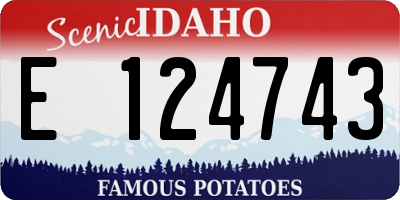 ID license plate E124743