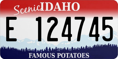ID license plate E124745