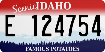 ID license plate E124754