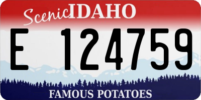 ID license plate E124759
