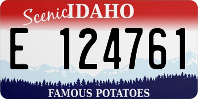 ID license plate E124761