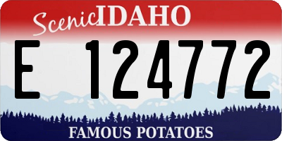 ID license plate E124772