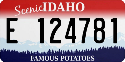 ID license plate E124781