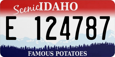 ID license plate E124787