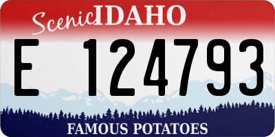 ID license plate E124793