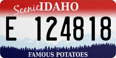 ID license plate E124818
