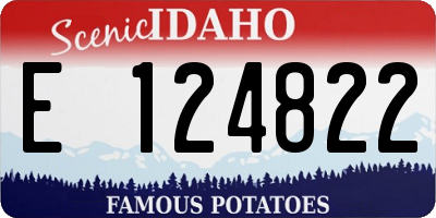 ID license plate E124822