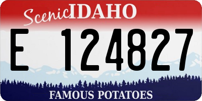 ID license plate E124827