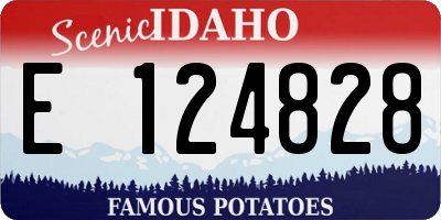 ID license plate E124828