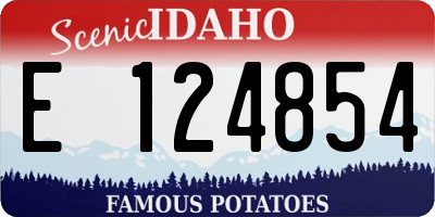 ID license plate E124854